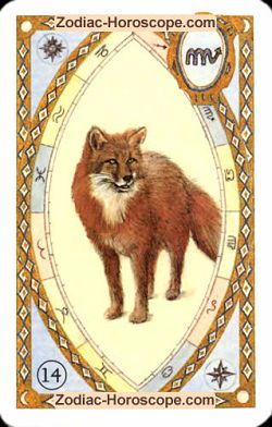 The fox, monthly Love and Health horoscope August Scorpio