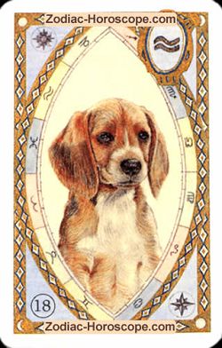 The dog, monthly Love and Health horoscope October Scorpio