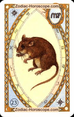 The mice astrological Lenormand Tarot