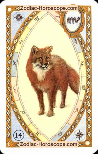 The fox Single love horoscope