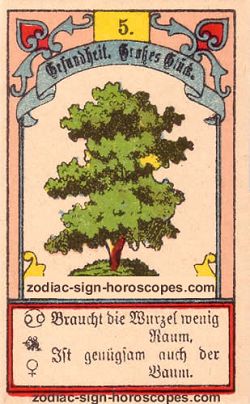 The tree, monthly Scorpio horoscope May