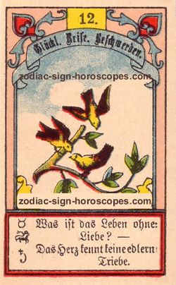The birds, monthly Scorpio horoscope January