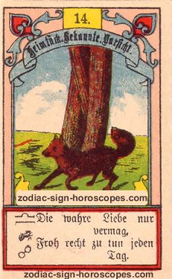 The fox, monthly Scorpio horoscope August