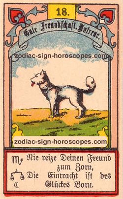 The dog, monthly Scorpio horoscope April