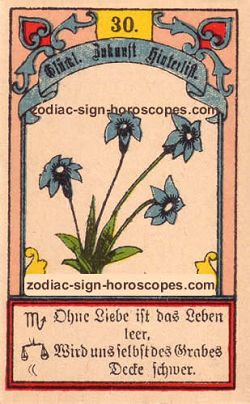 The lily, monthly Scorpio horoscope April